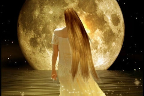MoonLife