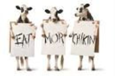 The Chicken Revolution