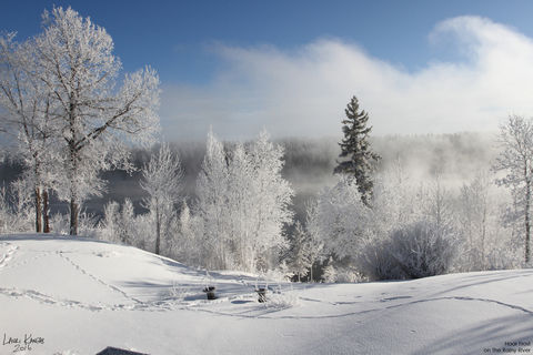 The Arrival Of Winter