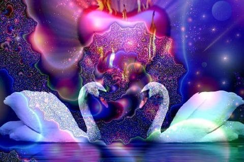 Connection