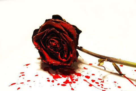 The murderer