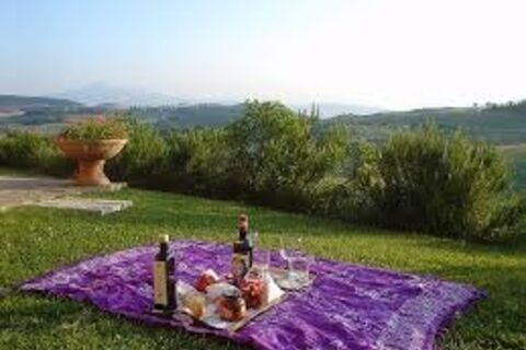 Picnic...