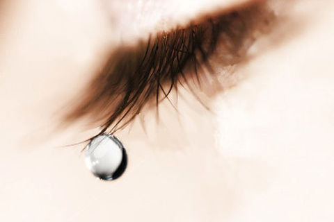 Loves Eyes