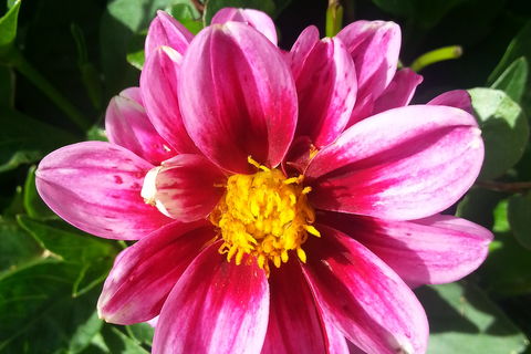 I was never young with you