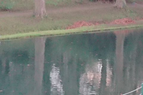 The cycle of confusion 