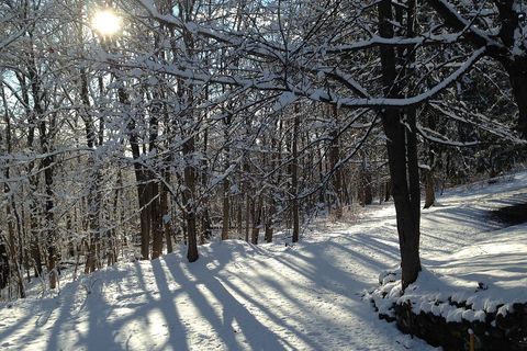 Christmas Snow