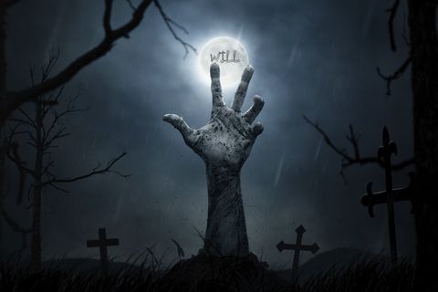 Will