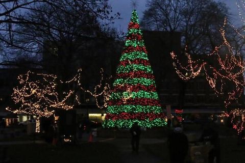 Christmas Memories In The Park 