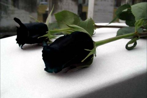 To you 