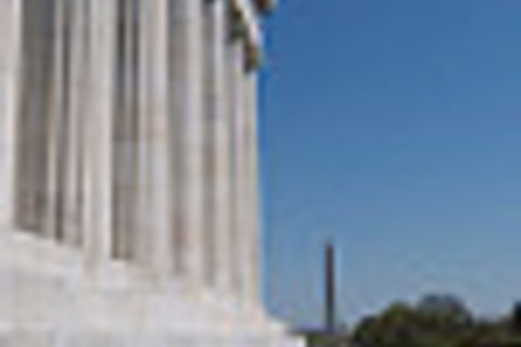 My Brief Perception Sans, American Democratic Paradigm