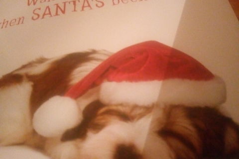 CHRISTMAS WISH (DCMT)