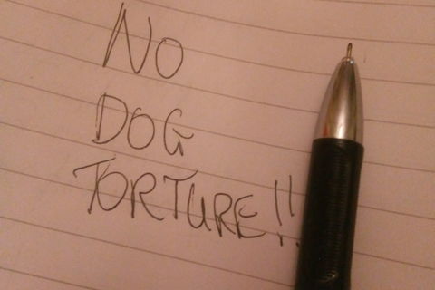 BATTLE ( DOG/CAT MEAT TRADE TORTURE)