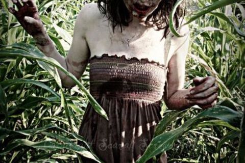 Corn Zombie