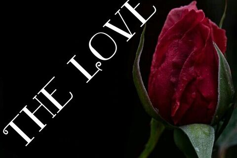 THE LOVE
