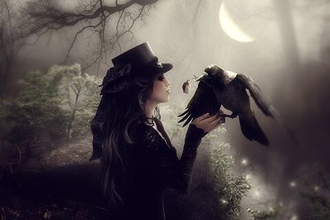 Blackbird