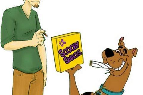 scooby snack