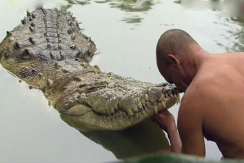 How the crocodile got his smile 