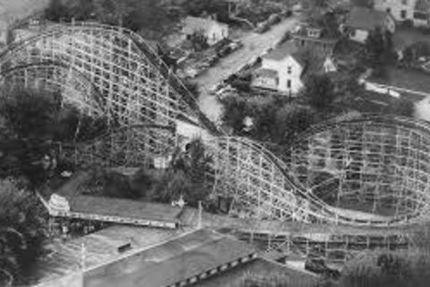 The Wildcat