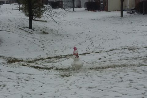 Mister Snowman
