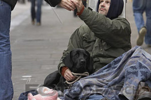STREET LIFE 