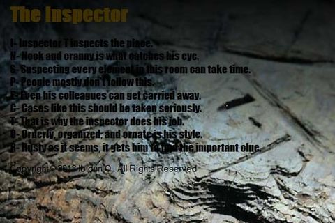 The Inspector