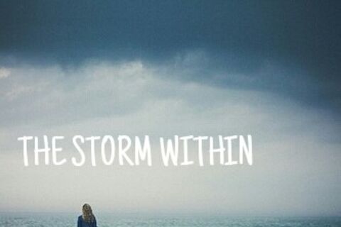 THE STORM WITHIN