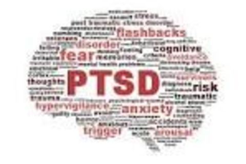 PSTD or just Life?