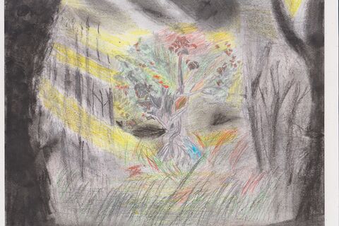 Trees