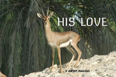HIS LOVE