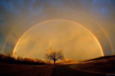 MY RAINBOW