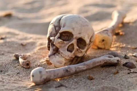 Bones of why 
