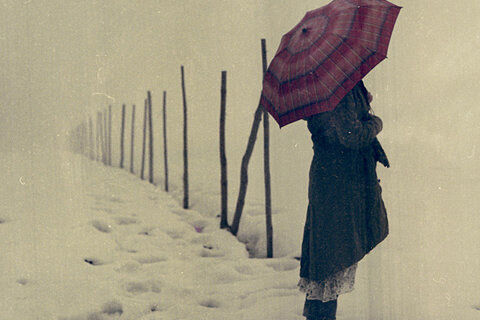 Think of me in Snow