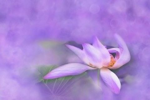 Offering of Self