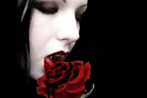 Wallflower