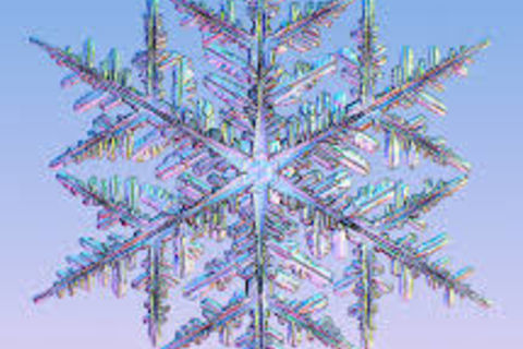 Snowflakes