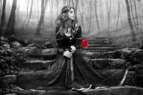Roses upon my grave...