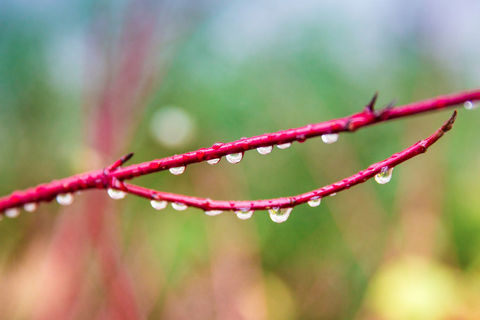 To Have Lived And Loved