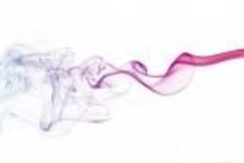 The Scent