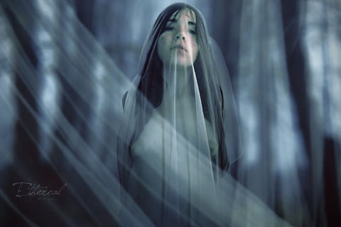The Raging Silence