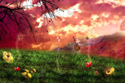 The Magical Land Of Aneylephin