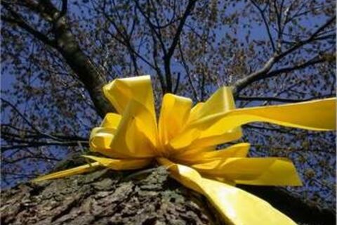 yellow ribbons