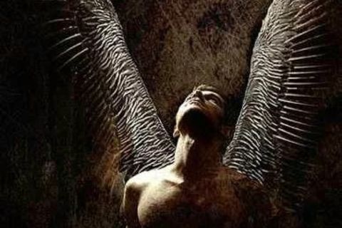 Angel of the Dawn