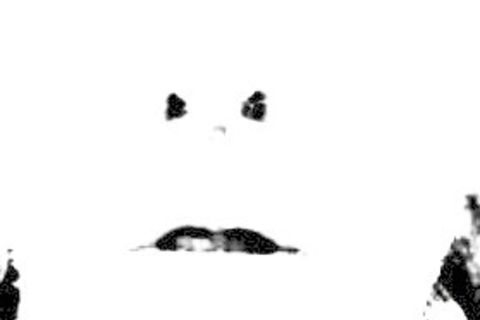 APOLOGY
