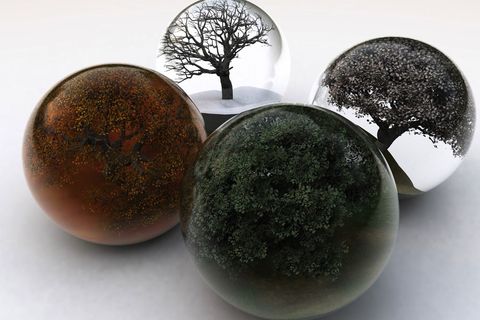 Seasons