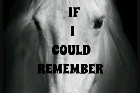 IF I COULD REMEMBER