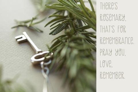 Rosemary For Remembrance