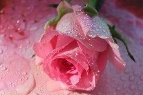 YOU TRIED TO TELL ME YOU LOVED ME
