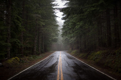 Life&#039;s journey {QUOTE}
