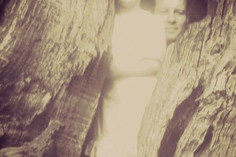 Yew