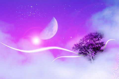 Dreams